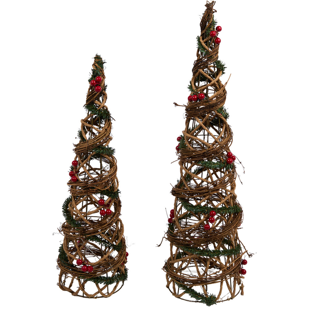 Set of 2 LED Floristry Cones Image 1