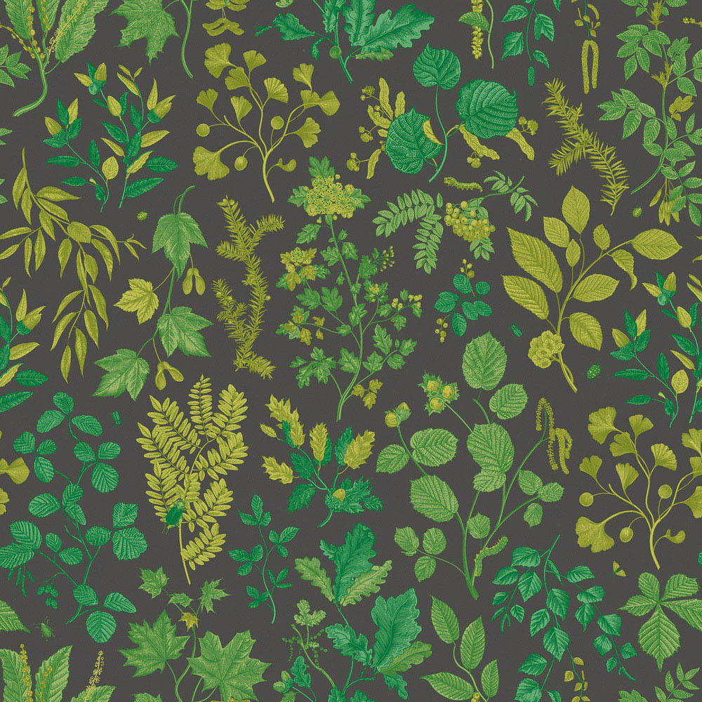 Hoopla Walls Oasis Botanical Leaves Charcoal and Emerald Wallpaper Image 1