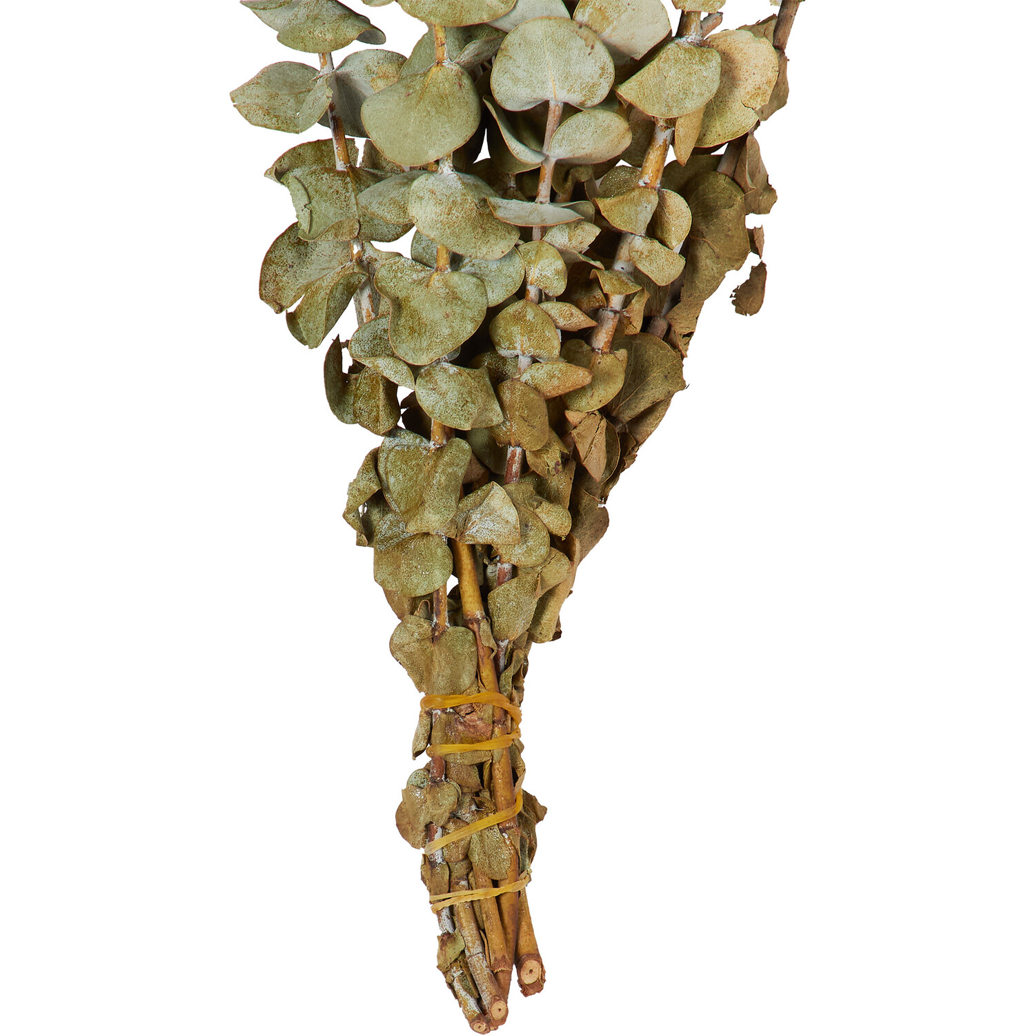 Dried Eucalyptus Bouquet - Green Image 4