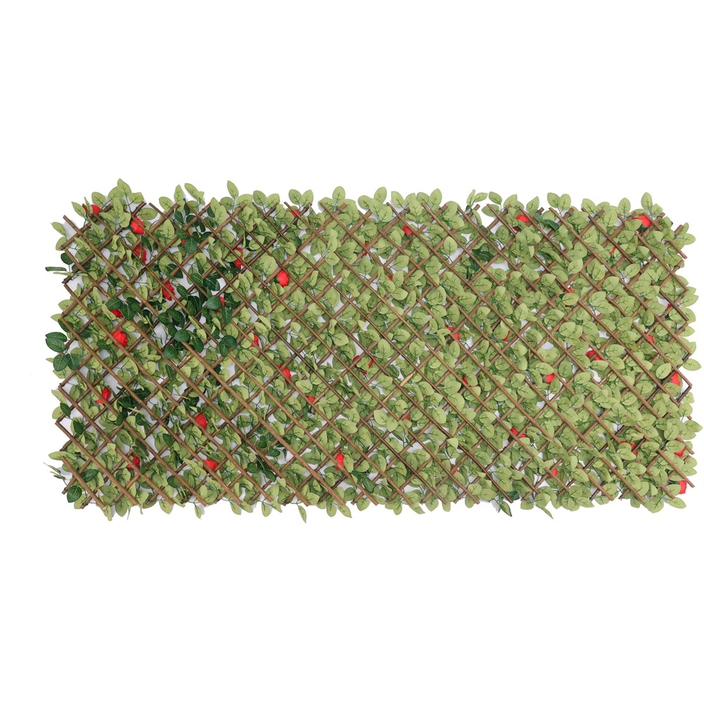 Expanding Red Rose Leaf Fence Green Image 5