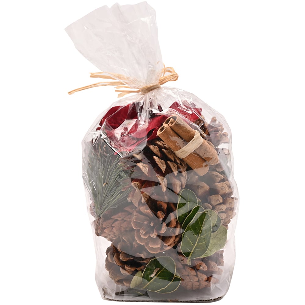 The Seasonal Gift Co. Cinnamon Foliage Bag Image 2