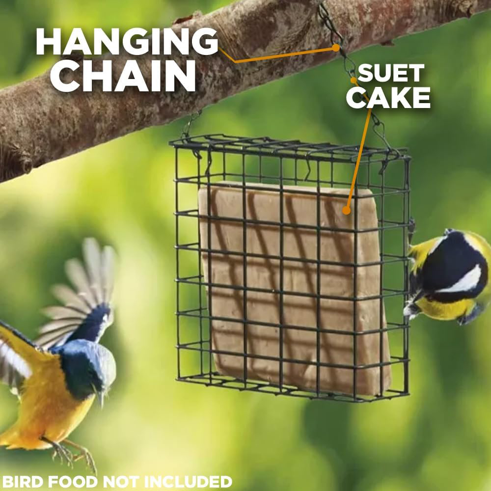 Marco Paul Green Suet Cake Bird Feeder Image 2