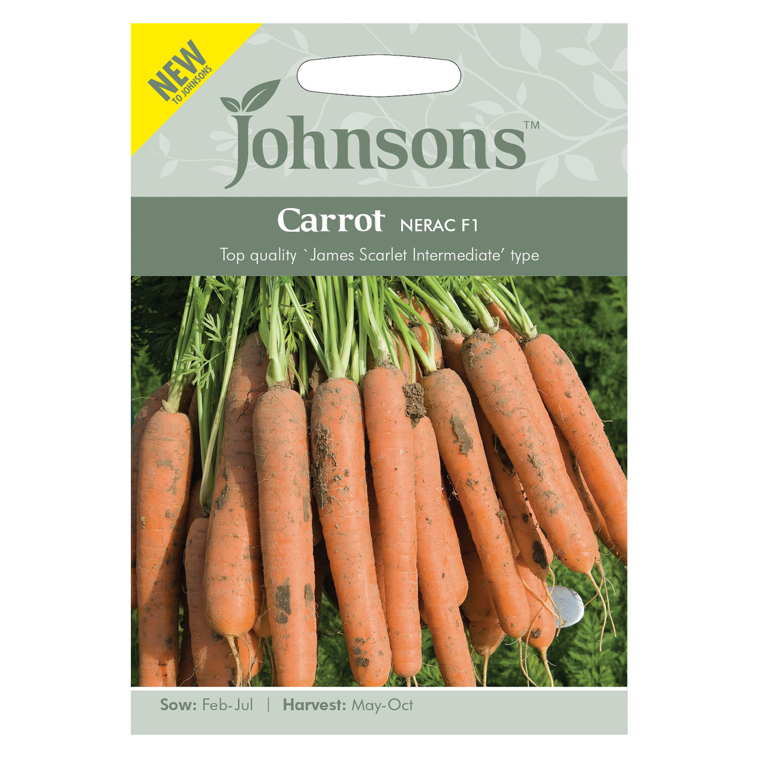 Johnsons Carrot Nerac F1 Vegetable Seeds Image 2