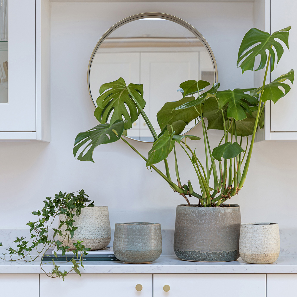 Ivyline Celeste Cream Planter 21 x 26cm Image 2