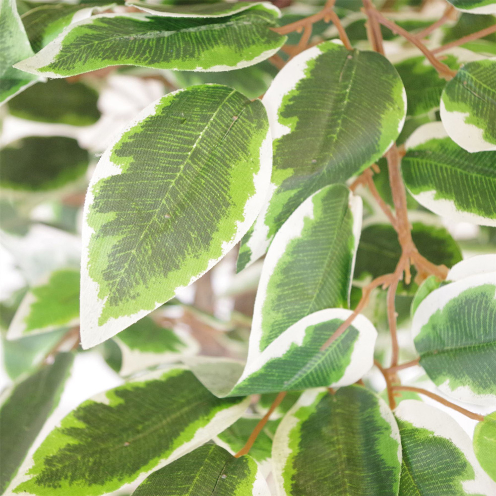 Botanik White Edge Twist Ficus Artificial Tree in Pot 4ft Image 2