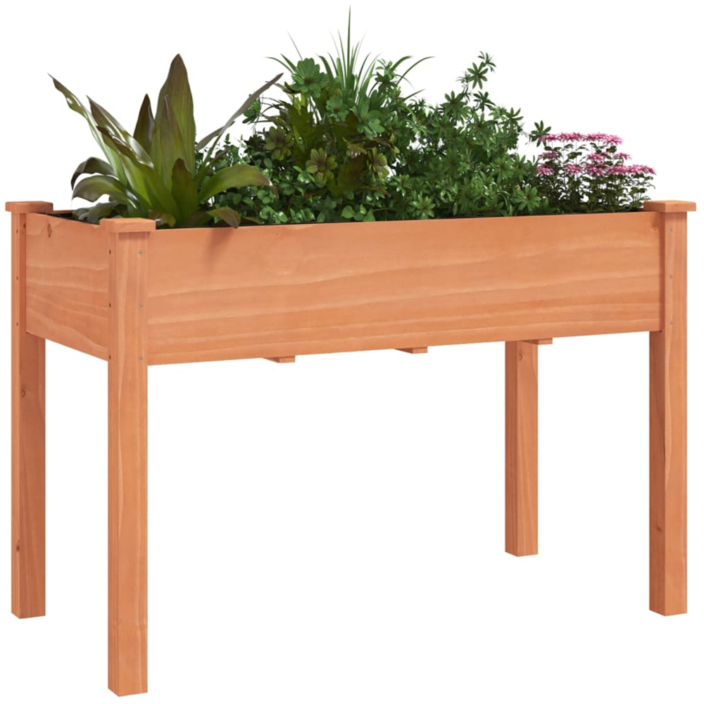 vidaXL Brown Fir Wood Raised Garden Bed 76 x 118 x 59cm Image 2