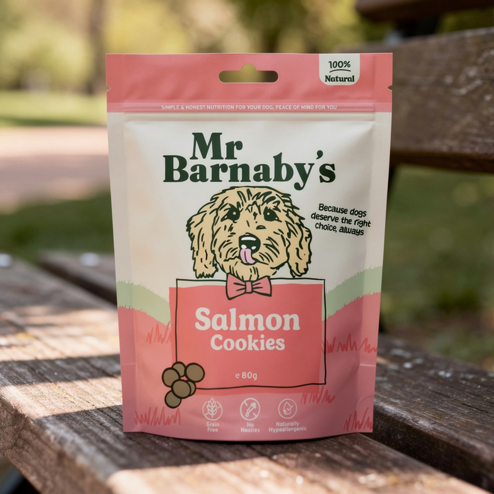 Mr Barnaby's Salmon Cookies 80g 2 Pack Image 2