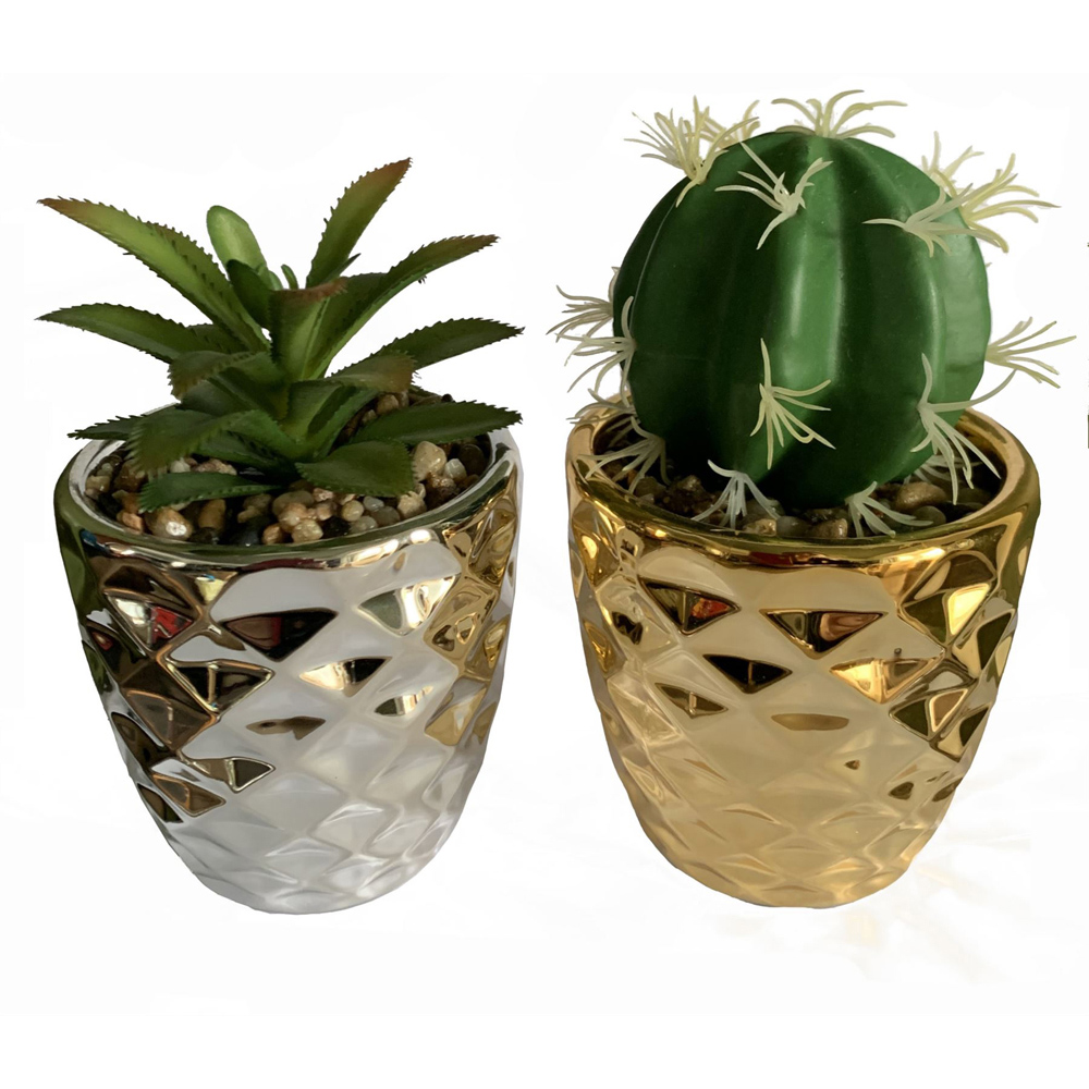 Leaf Silver and Gold Ceramic Planter with Cactus and Dracaena 15cm Set of 2 Image 1