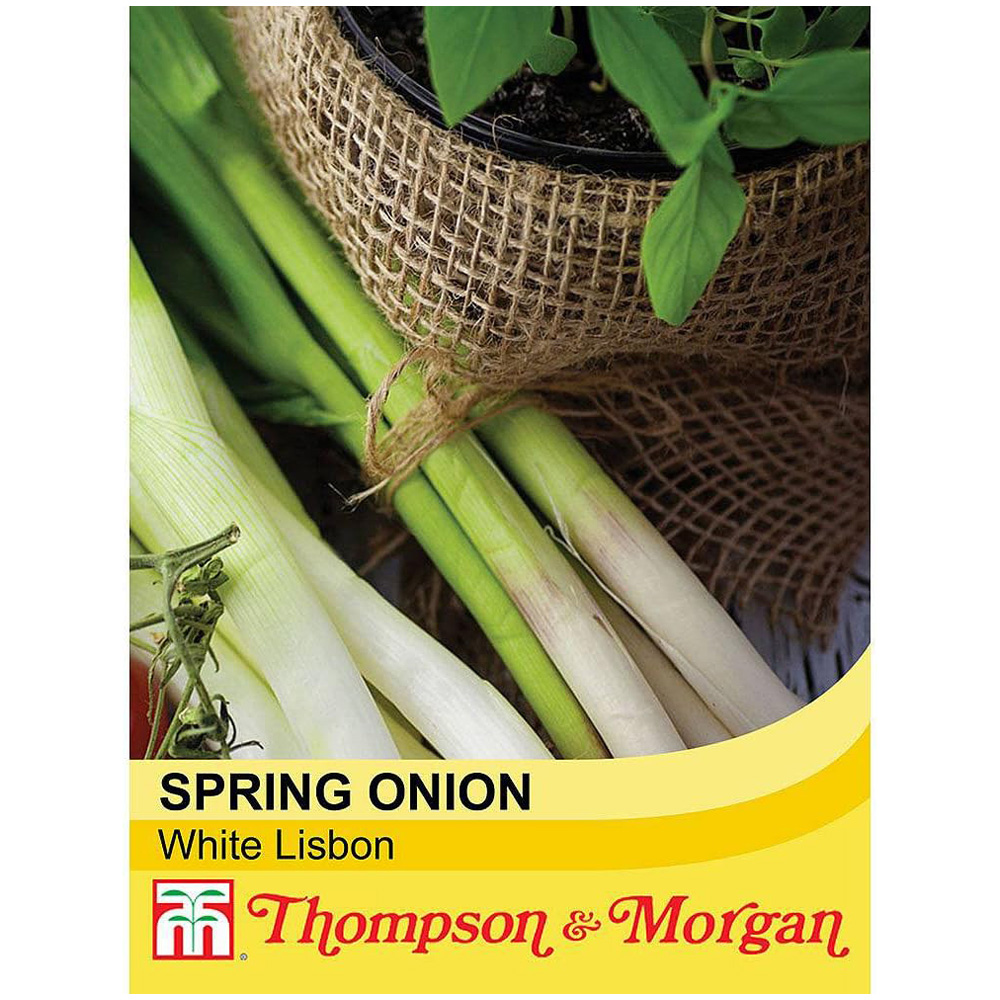 Thompson and Morgan Spring Onion White Lisbon Seeds Image 2