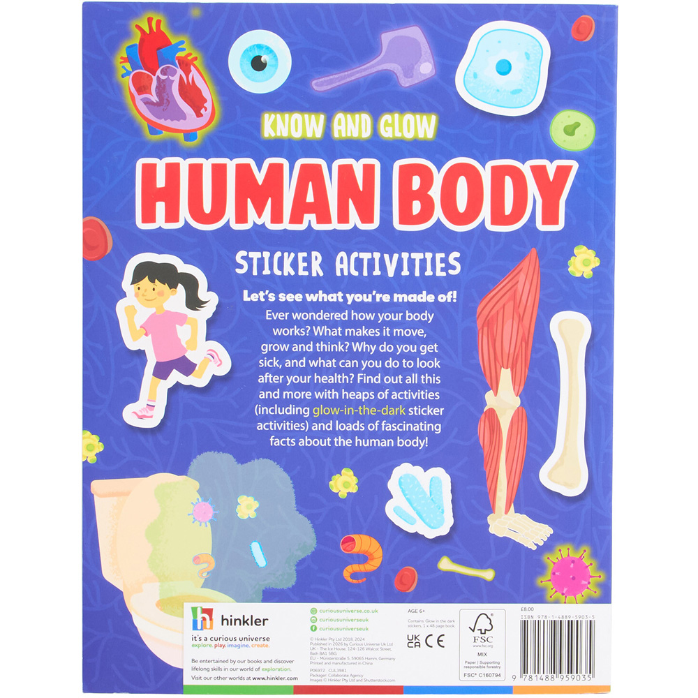 Human Body Sticker Activities Image 5