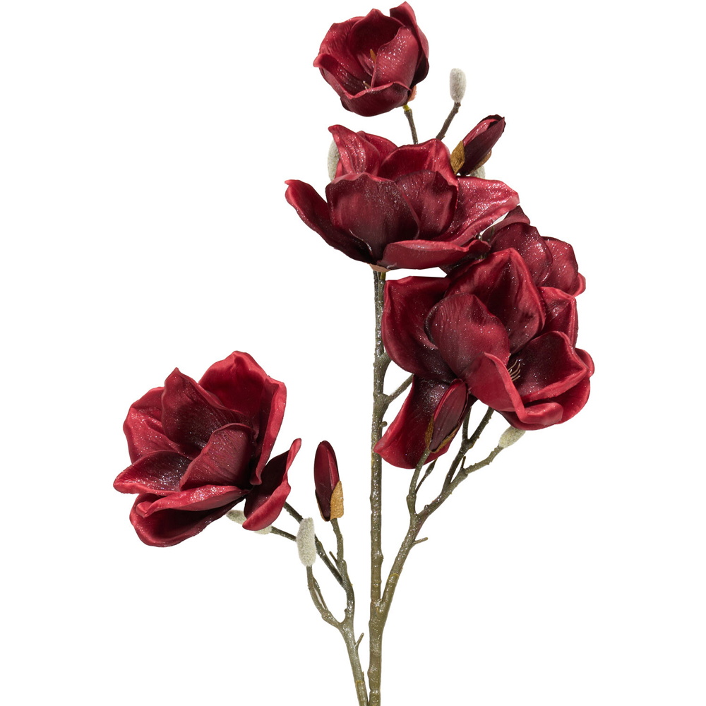 Shimmer Magnolia Stem Image 6