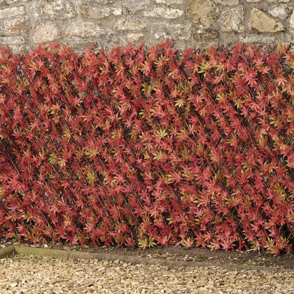 Garden Gear Red Acer Folding Hedge Trellis 1 x 2m Image 2