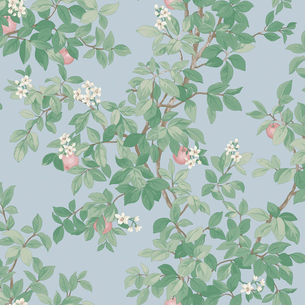Holden Decor Orange Tree Sky Blue Wallpaper Image 1