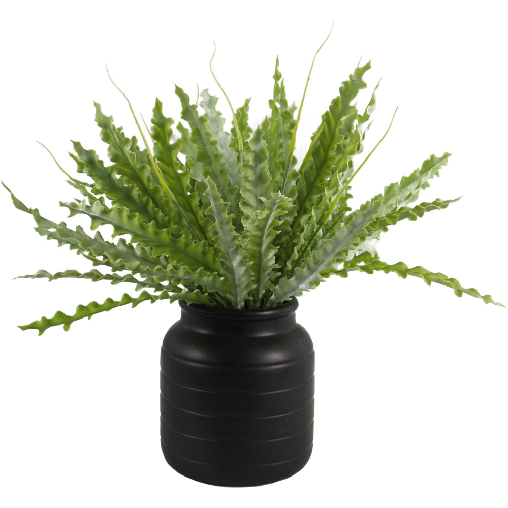 Leaf Black Vase Planter 13 x 14cm Image 1