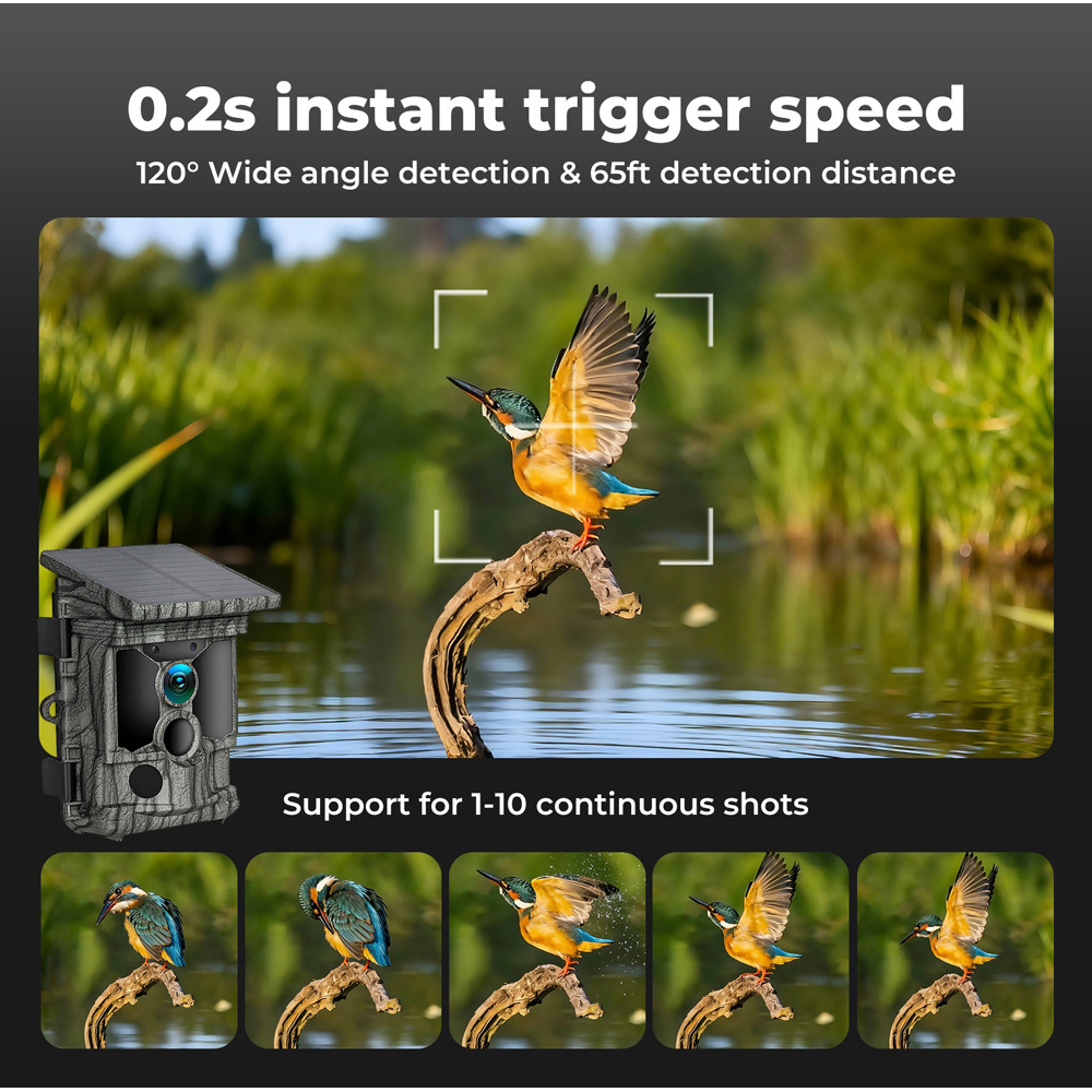 Traderight Centra 4K Solar Powered Trail Camera 112MP Image 6