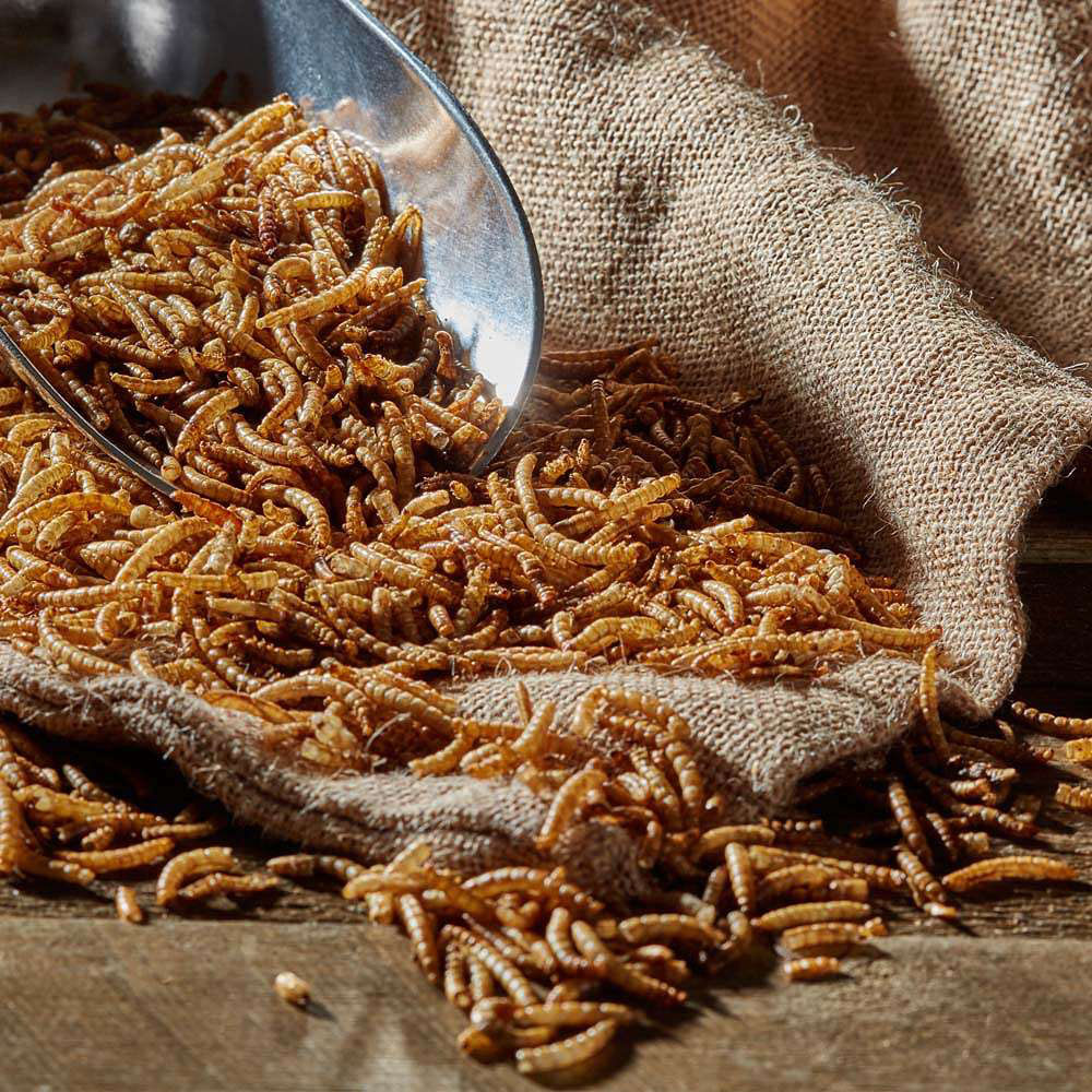 Happy Beaks Meal Worms Tub Bird Food 200g Image 2