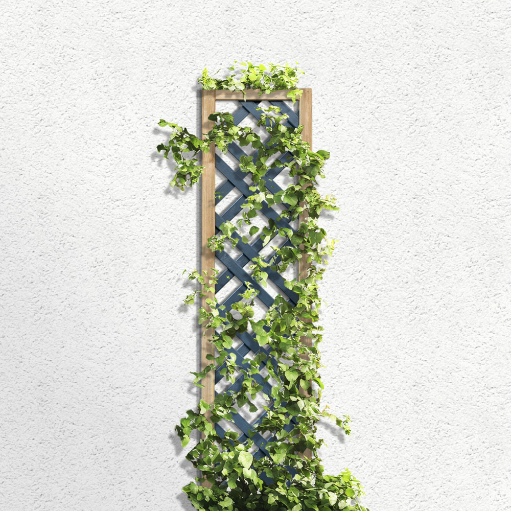 Forest Garden Grey Painted Lattice 180 x 30cm Image 4