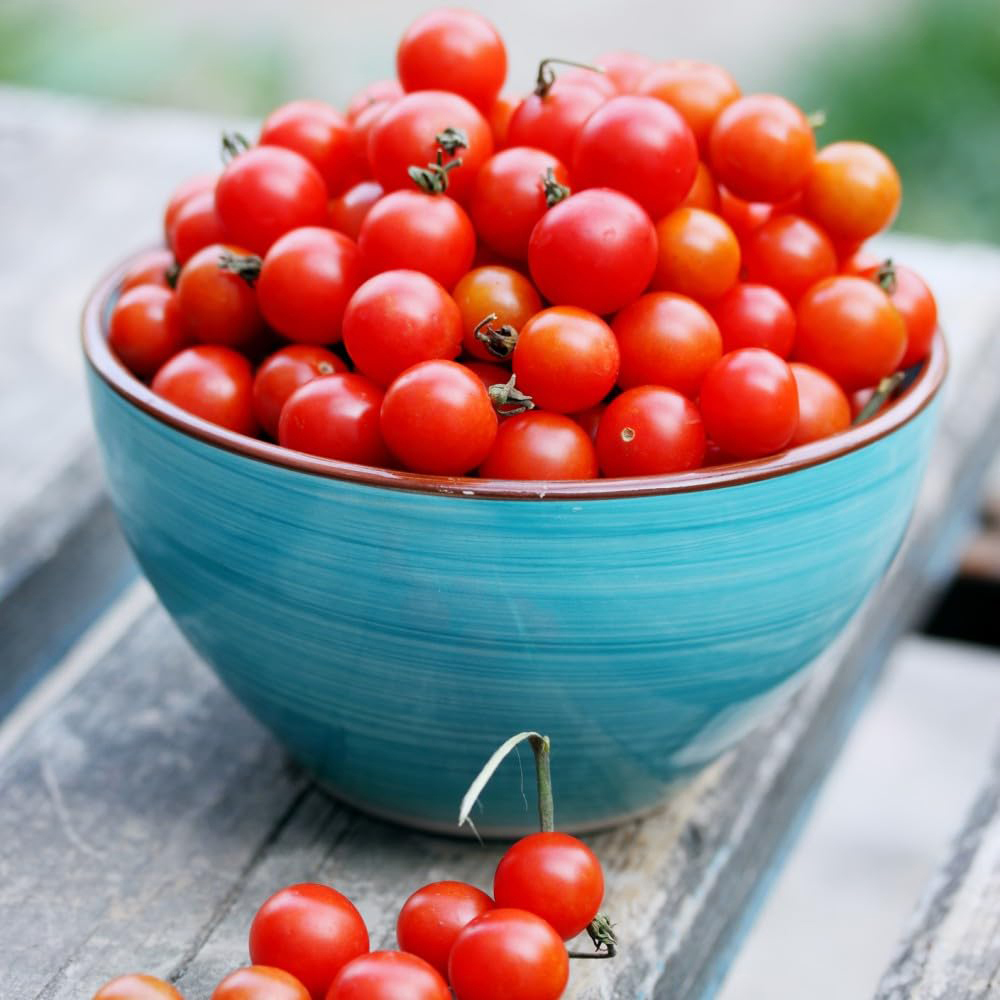Thompson and Morgan Tomato Bite Size Seeds Image 2