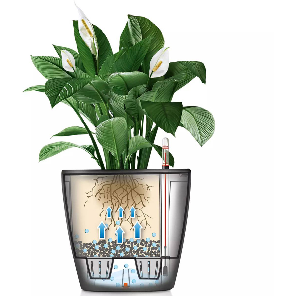 Lechuza Classico Sand Brown Poly-Resin Self-Watering Planter 19cm 3 Pack Image 3