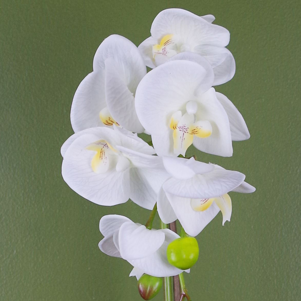 Leaf White and Gold Orchid Artificial Plant 46cm Image 3