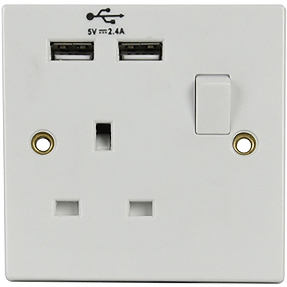 1 Gang Switch Socket with USB Image