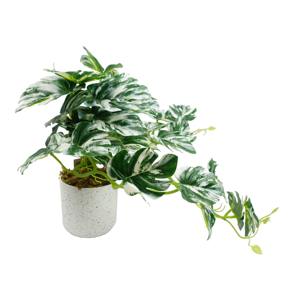 Leaf Variegated Green Monstera Potted Artificial Plant 30cm Image 3