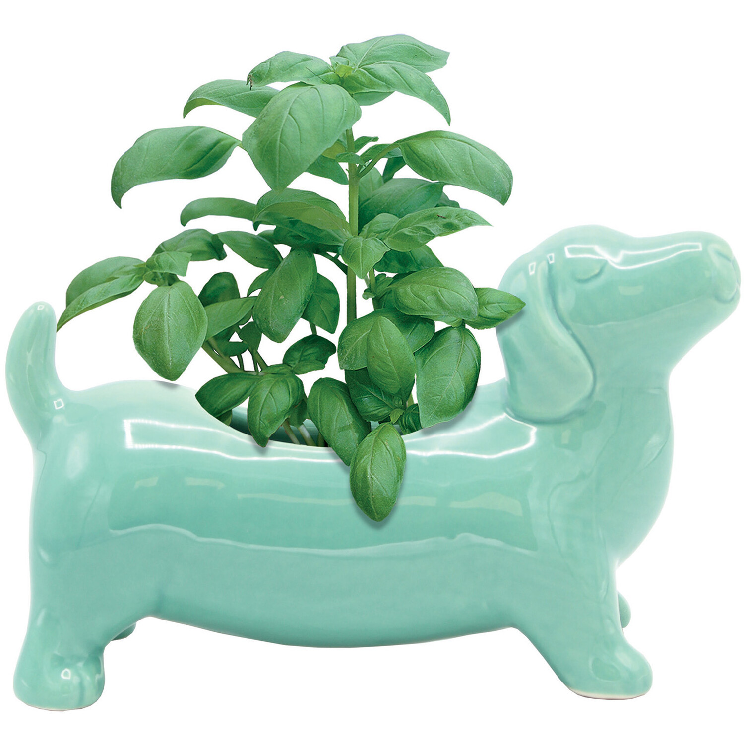 Sausage Dog Herb Planters - Multicolour Image 5