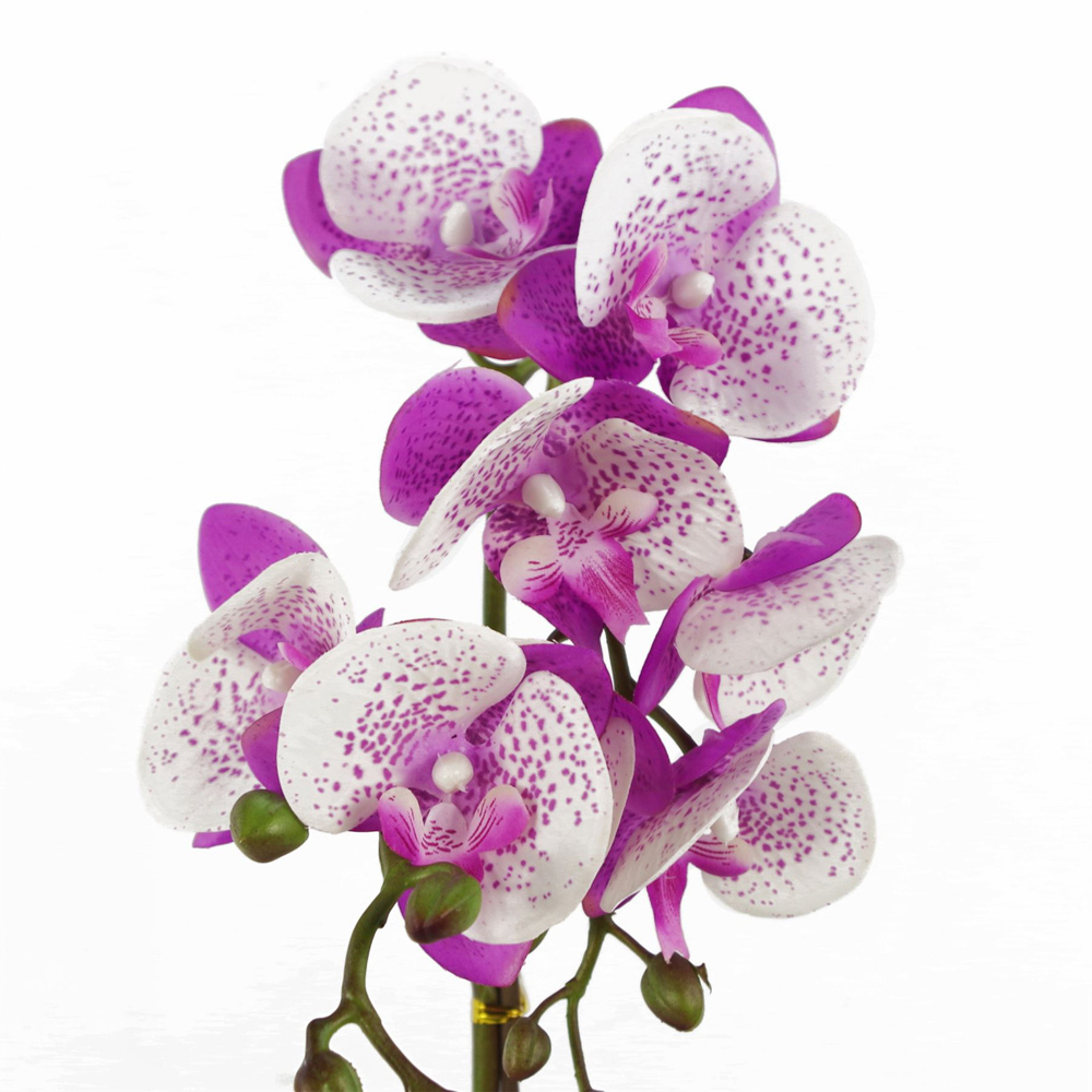 Leaf Purple and White Phalaenopsis Orchid Artificial Plant with Gold Pot 50cm Image 3