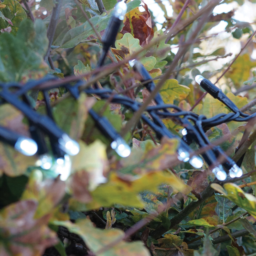 Eagle Connect 250 Cool White LED Black Cluster Light 5m Image 6