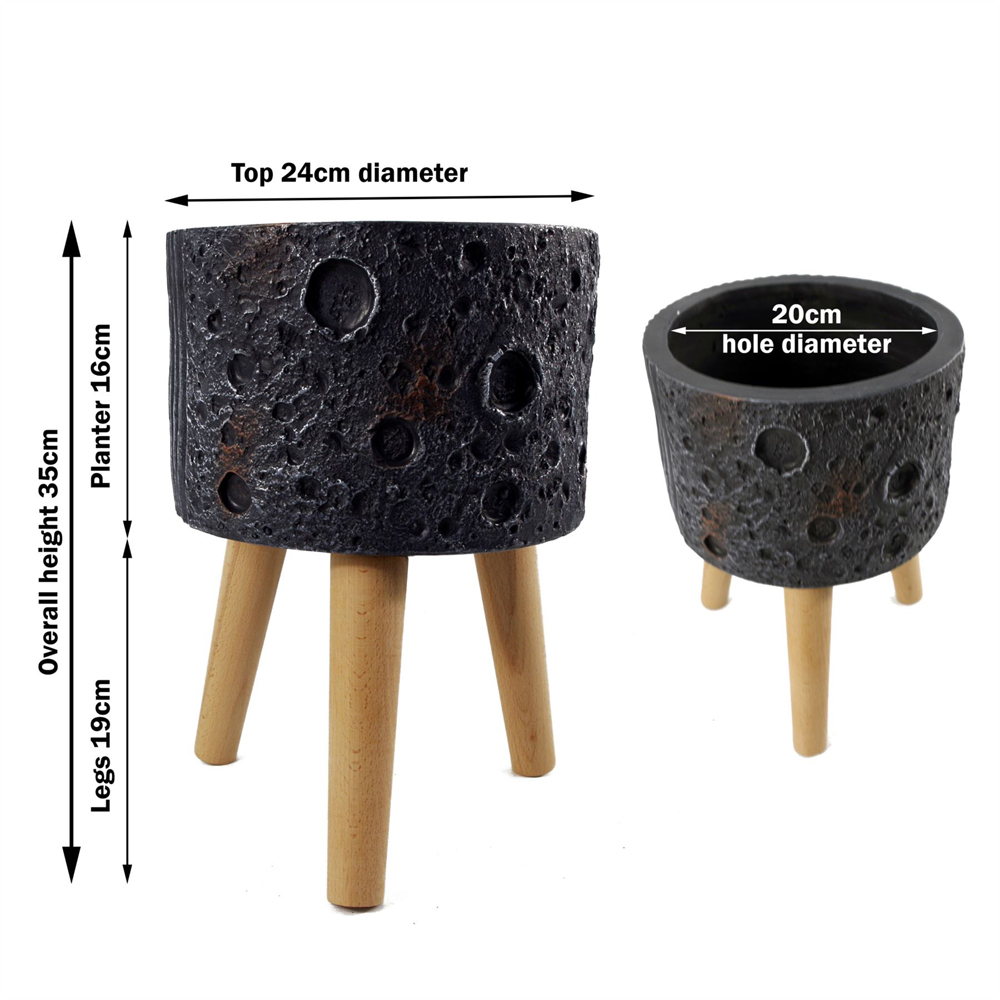 Leaf Moon Black Planter with Stand Image 8