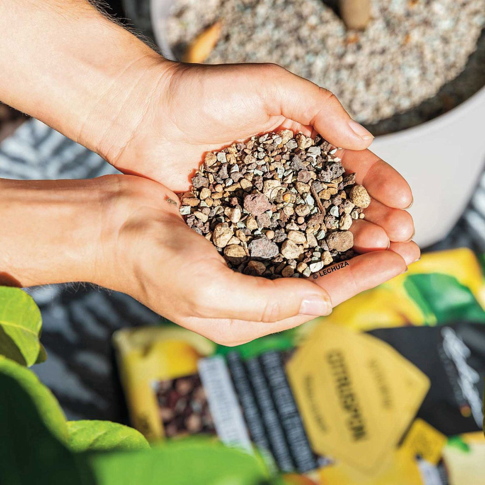 Lechuza Citruspon Citrus Plant Compost 12L 3 Pack Image 4