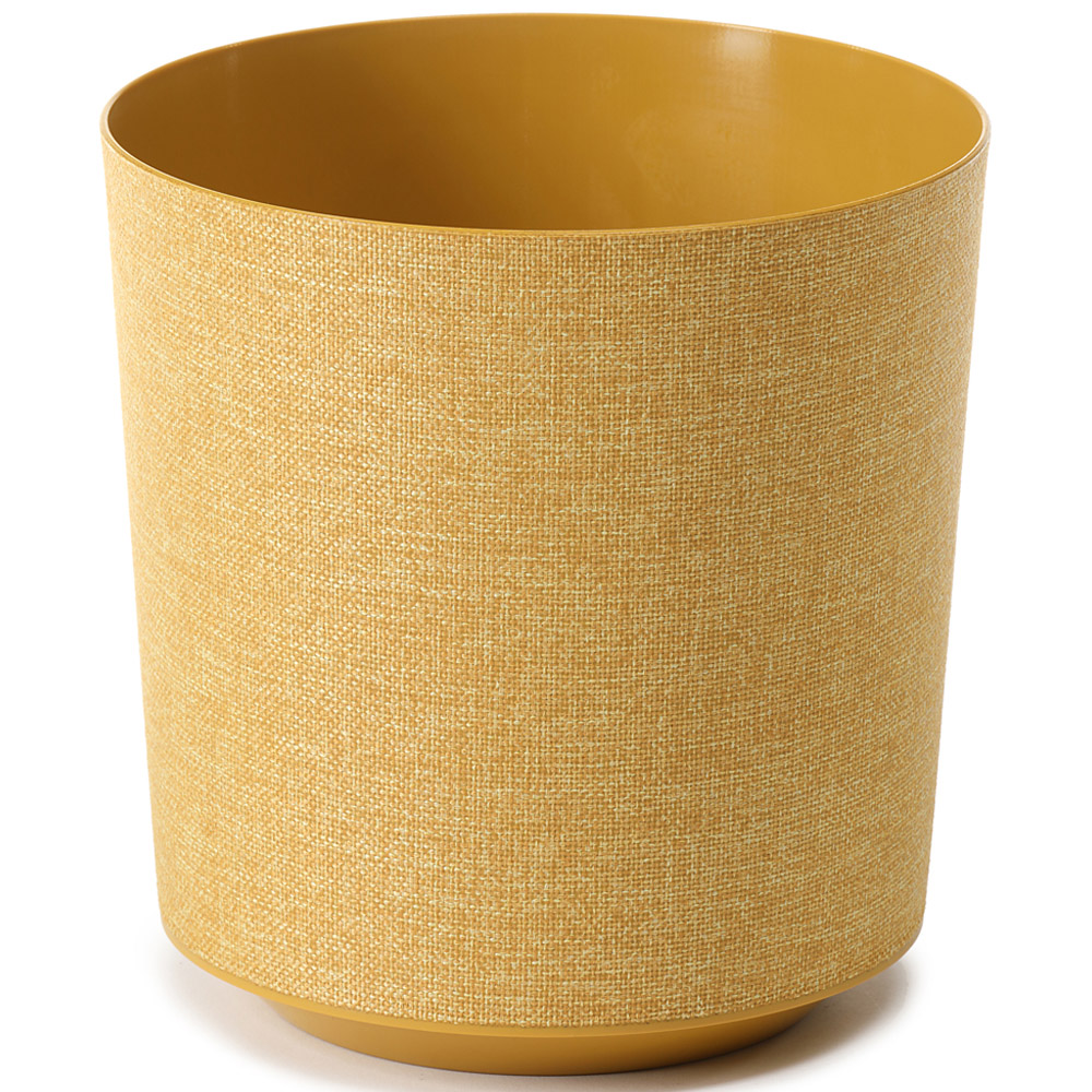YouGarden 2 Stem Yucca with Mustard Textured Pot Cover 17cm Image 3