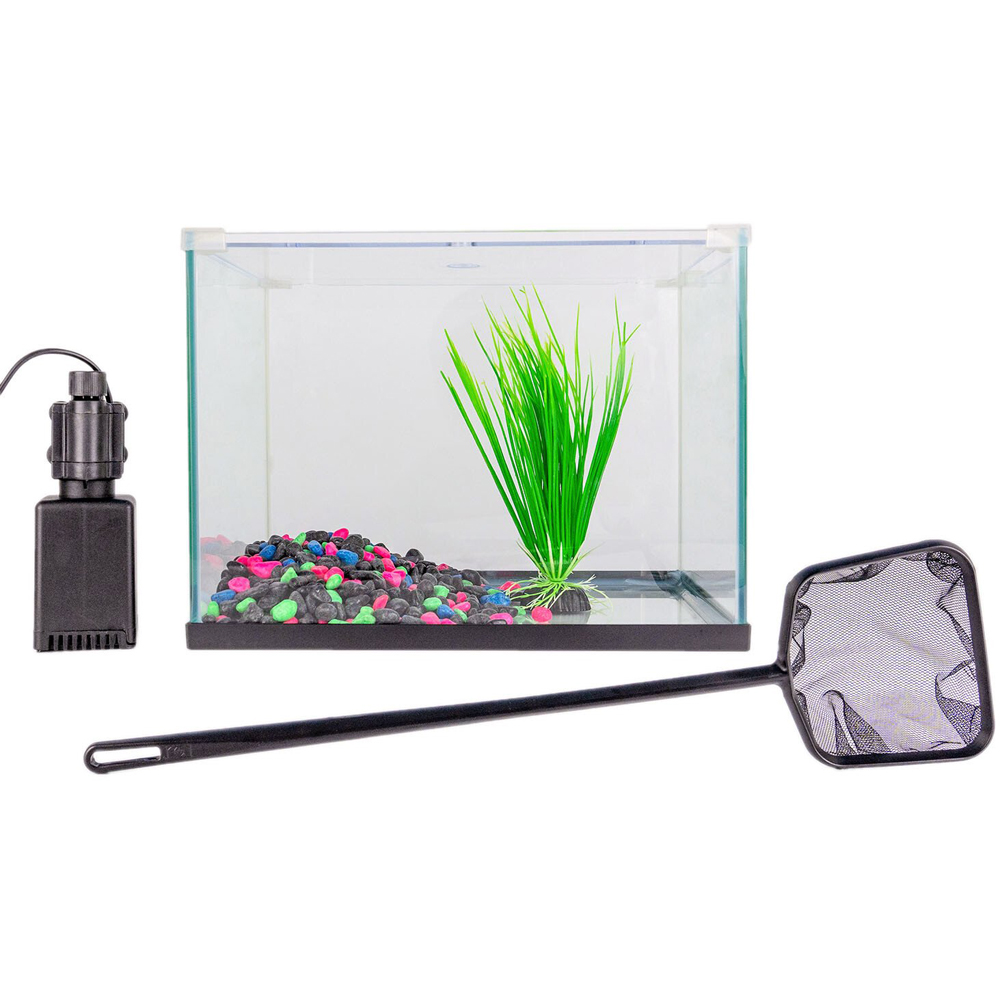 Starter Glass Aquarium Image 2