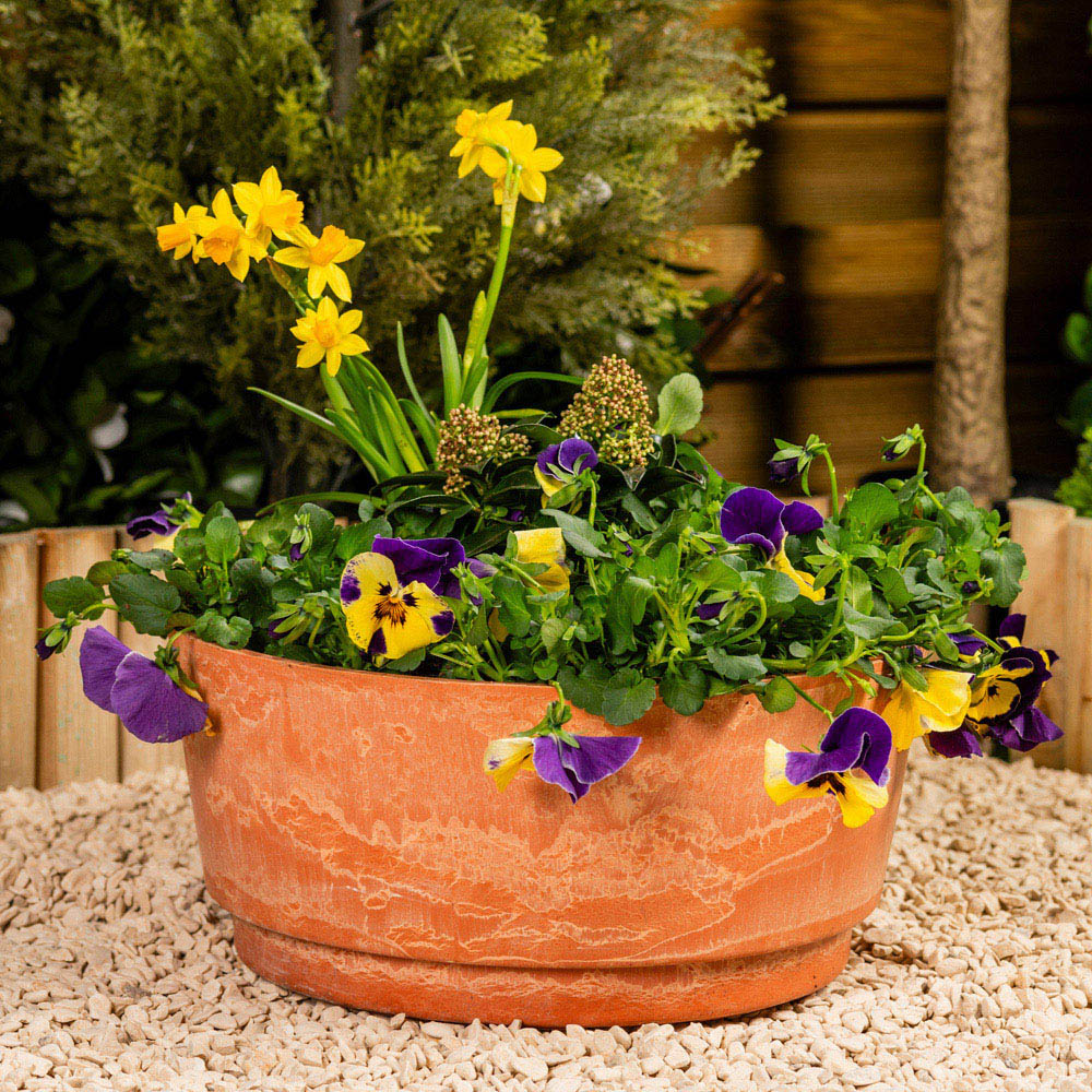 Garden Gear Caesar Terracotta Marble Effect Bowl Planter 35cm Image 2