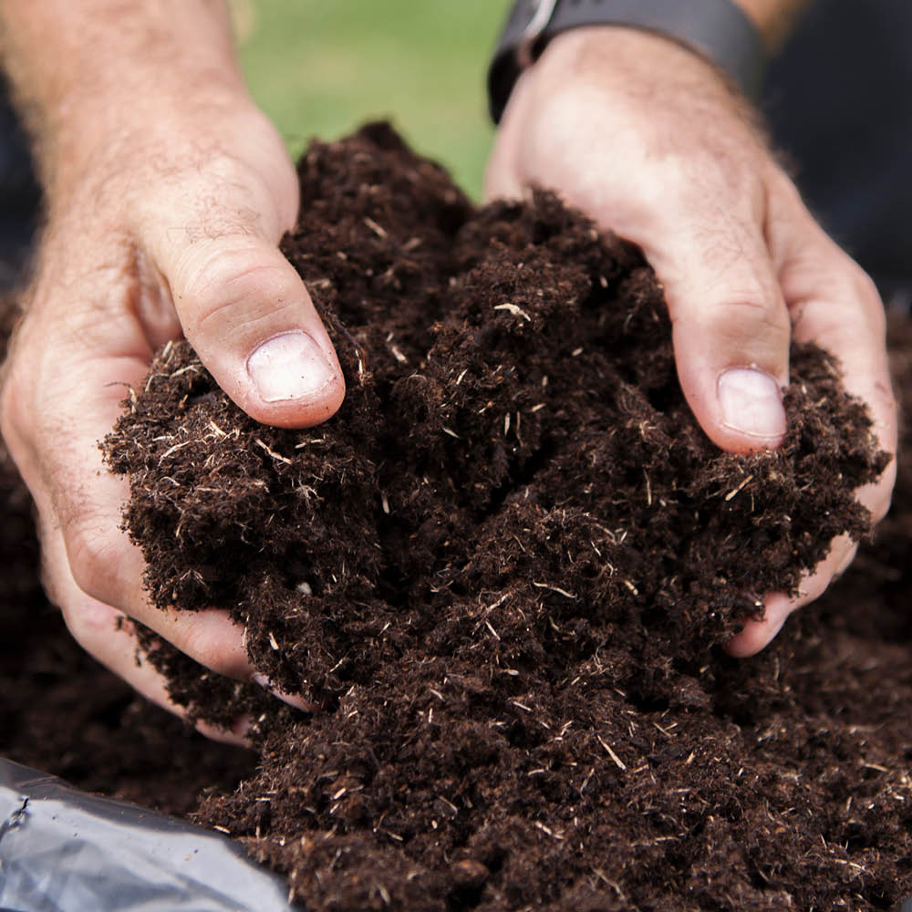 Shop Compost