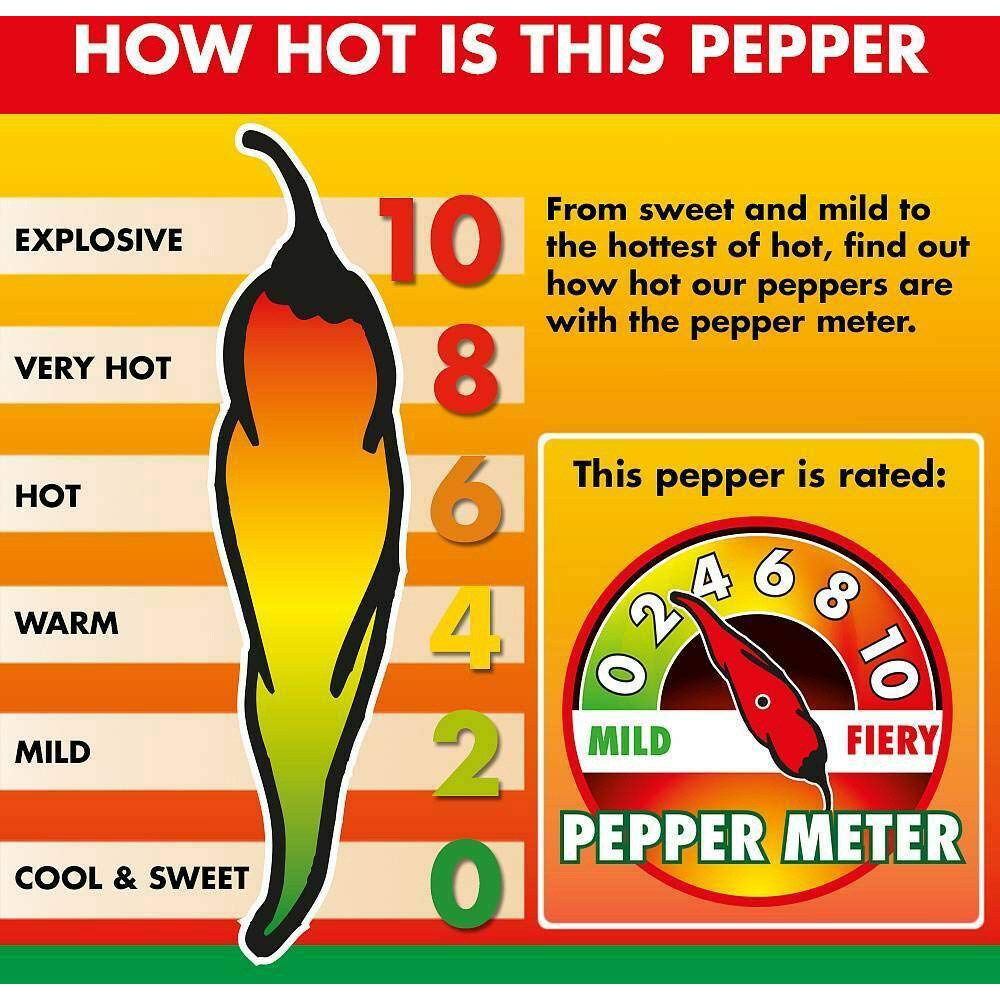 Thompson and Morgan Chilli Pepper Padron Seeds Image 2
