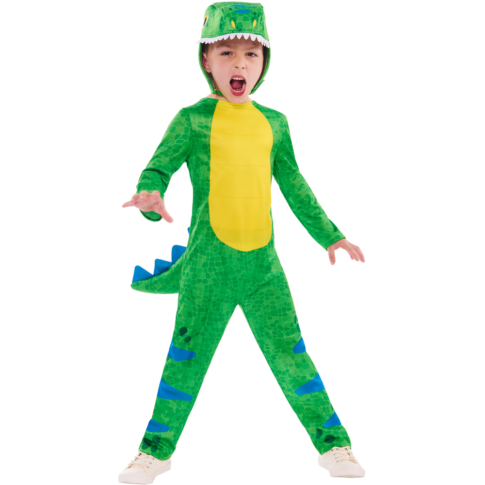 Rubies Friendly Dinosaur Age 7 to 8 Years Image 5