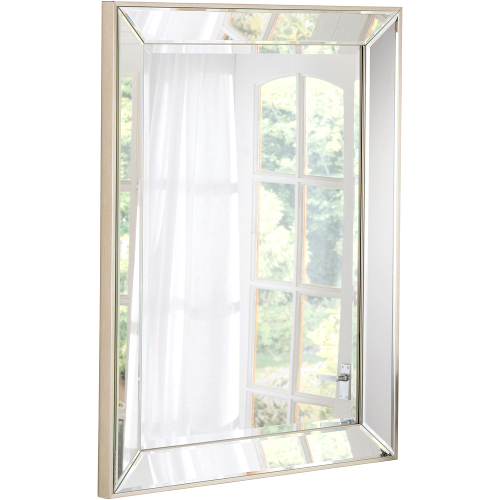 Yearn Champagne Trim Rectangular Bevelled Mirror 92 x 66cm Image 3