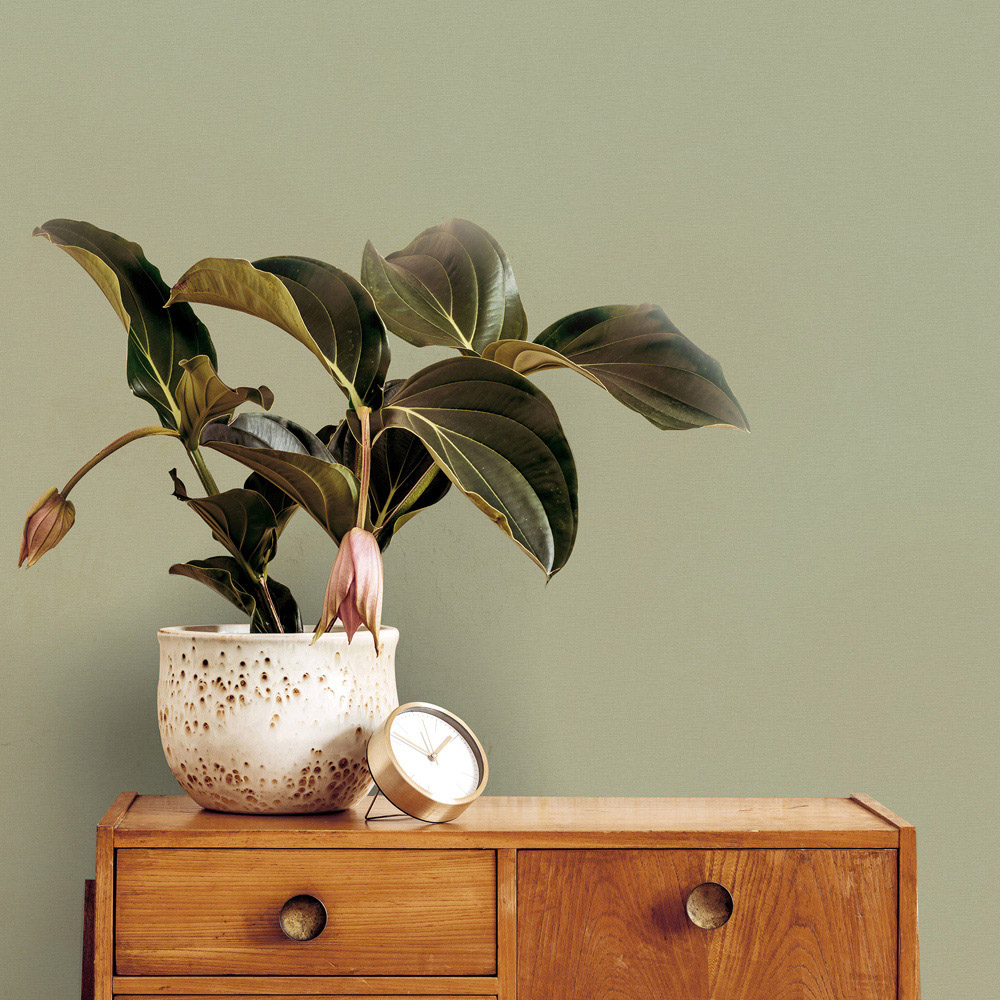 Superfresco Easy Amour Sage Green Wallpaper Image 3