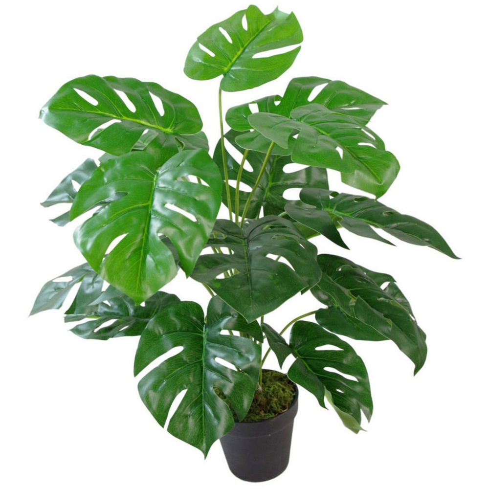 Leaf Monstera Cheese Artificial Plant Pot with Moss Covered Finish 60cm Image 1