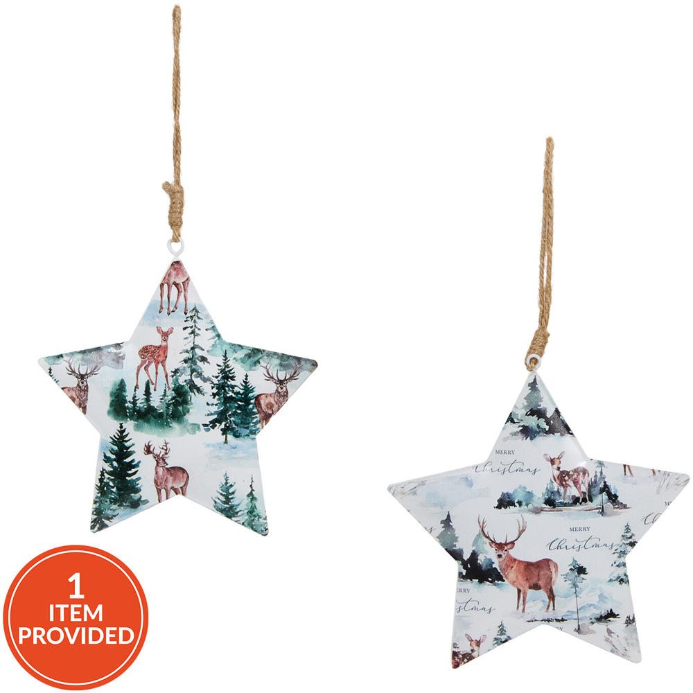 Metal Scandi Hanging Star Decoration Image 1