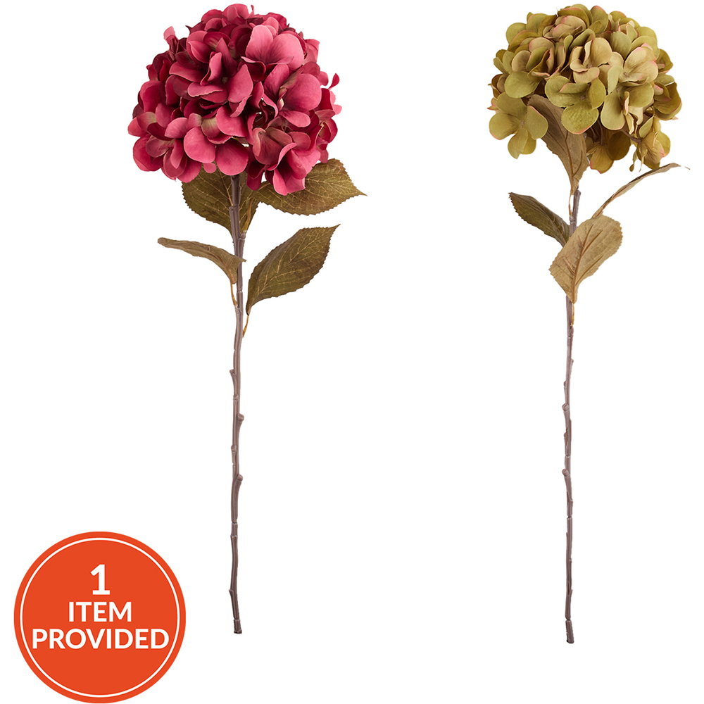 Autumn Hydrangea Stem Image 1
