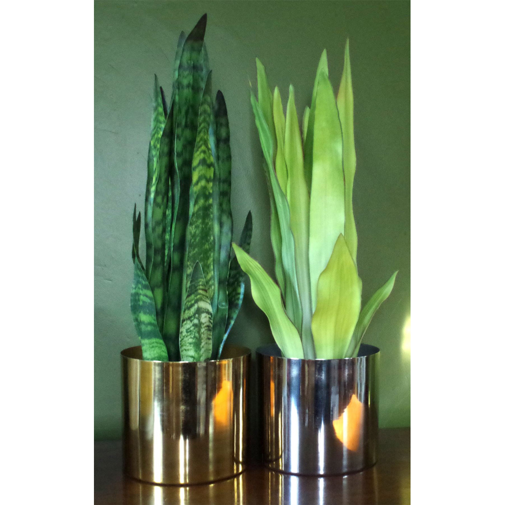 Leaf Tropical Zeylanica Sansevieria Artificial Plant Pot 70cm Image 5