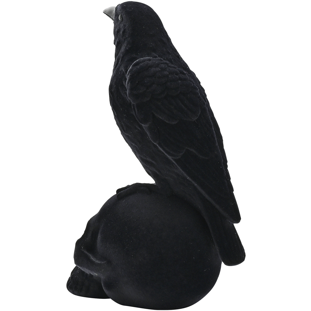 Hocus Pocus Halloween Crow on A Skull Image 4