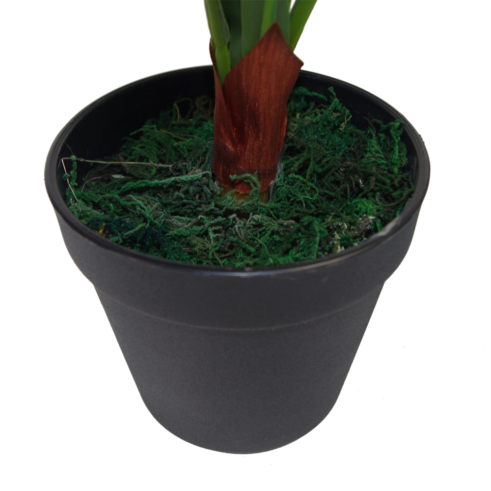 Leaf Tropical Dark Bushy Fern Artificial Tree Pot 2ft Image 2