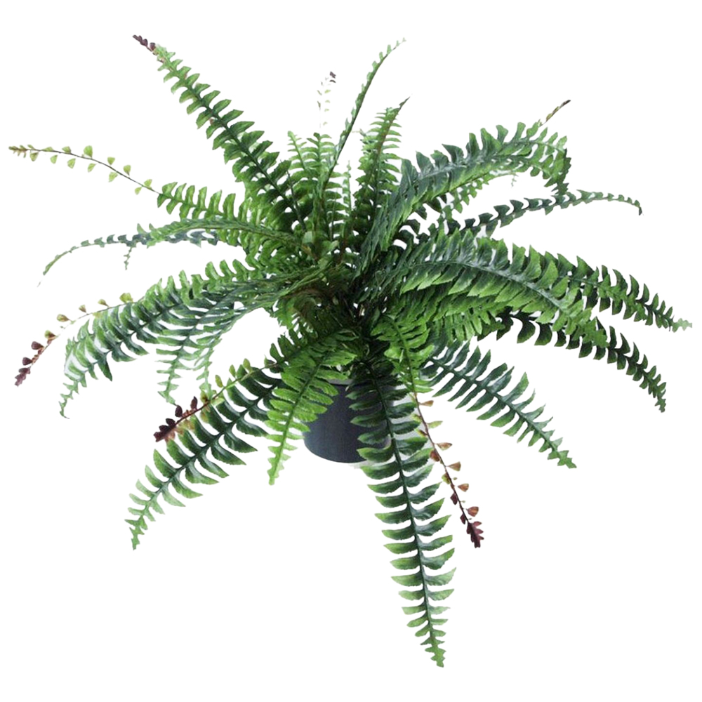 Leaf Boston Bushy Foliage Artificial Plant Pot 60cm Image