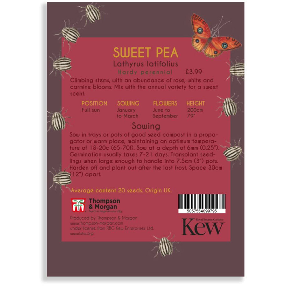 Thompson & Morgan Perennial Sweet Pea Promo New Kew Range Seeds Image 3