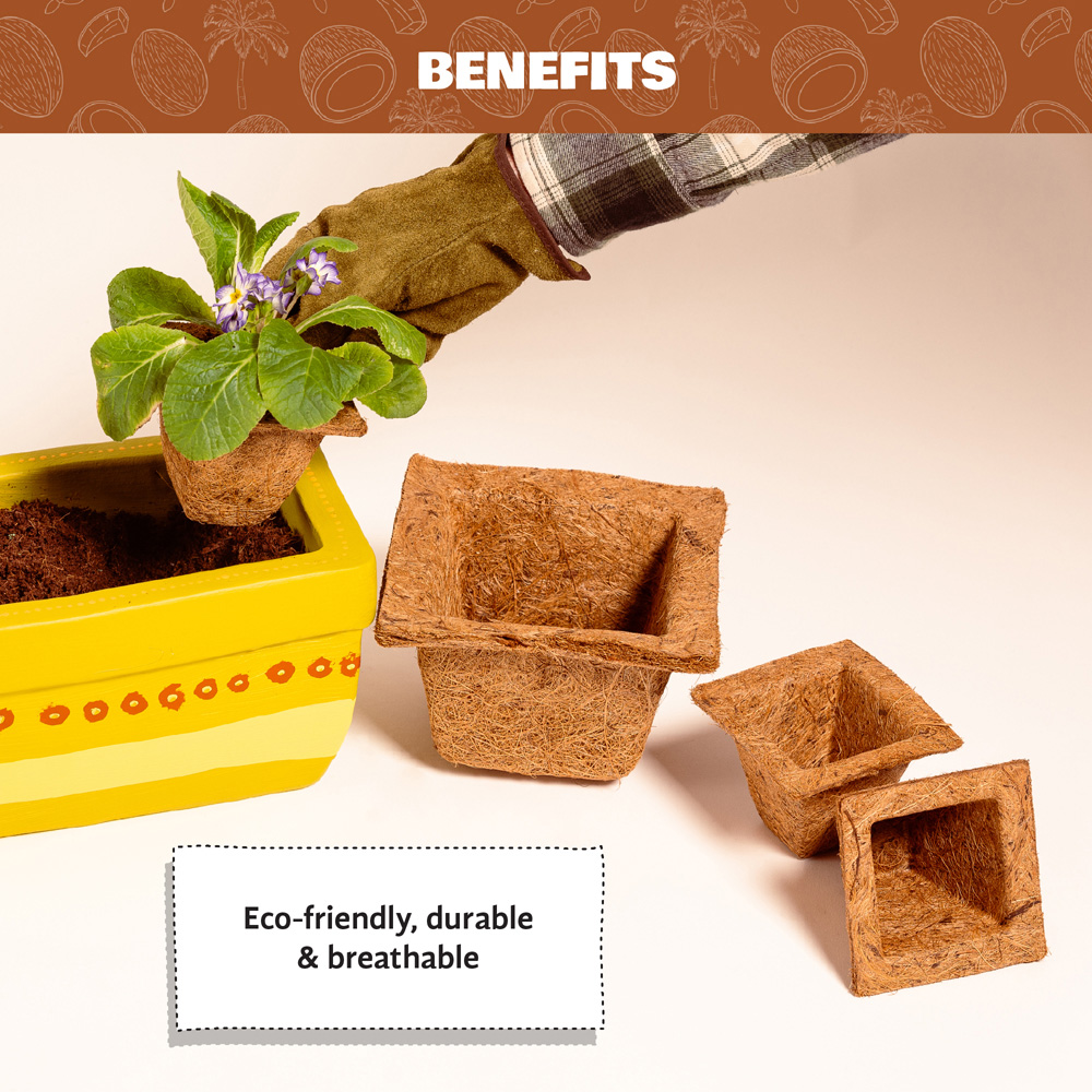 Coco & Coir Square Propagation Pot 8cm 12 Pack Image 3