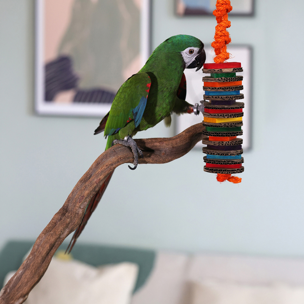 Boredom Breaker Shredder Bird Toy Image 2