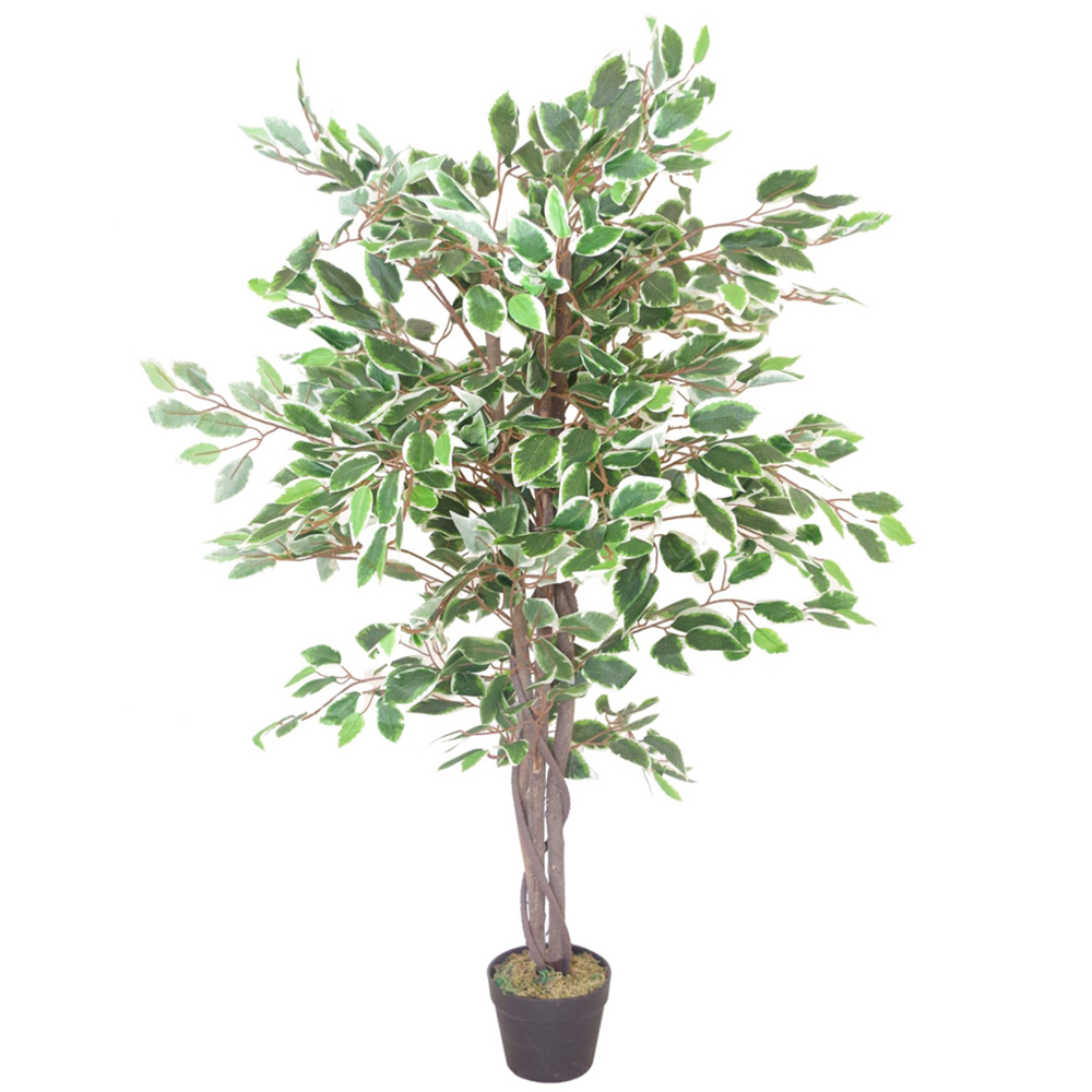 Leaf Ficus White Edge Artificial Tree in Pot 130cm Image 1